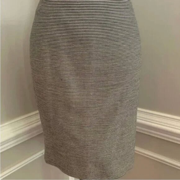 Talbots Blue and Cream Pinstriped Pencil Skirt Size 8P - Picture 10 of 12